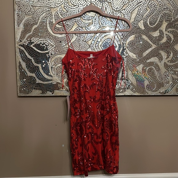 NWT SIZE L LOVELY DAY DRESS - Picture 3 of 4